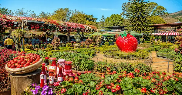 Places To Visit In Mahabaleshwar