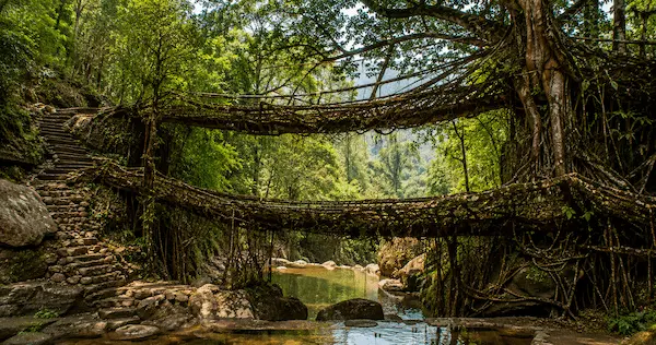Cherrapunji Travel Guide