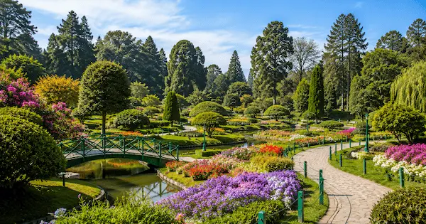Places to Visit in Shillong