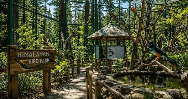  Best Places in Shimla 