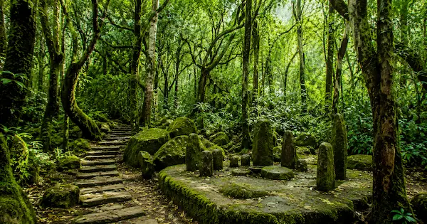 Places to Visit in Shillong