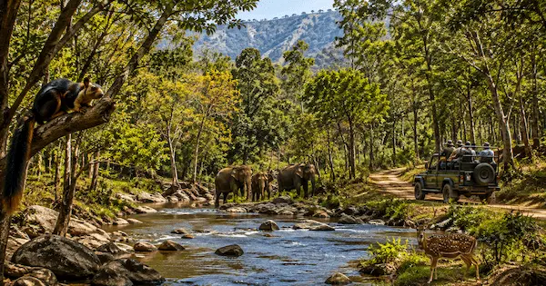 Best Places to Visit in Munnar 