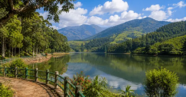 Best Places to Visit in Munnar 