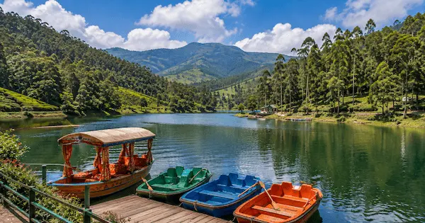 Best Places to Visit in Munnar 