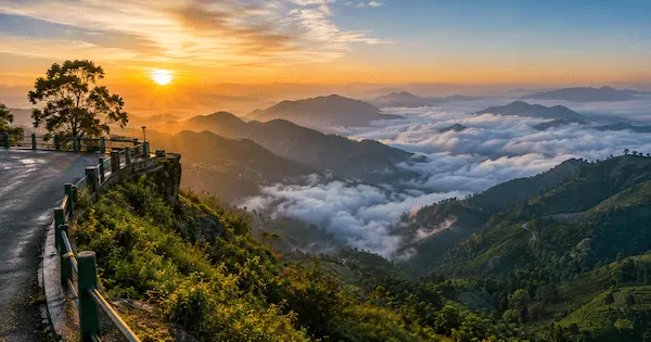 Best Places to Visit in Munnar 