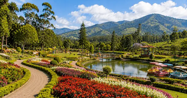 Best Places to Visit in Munnar 