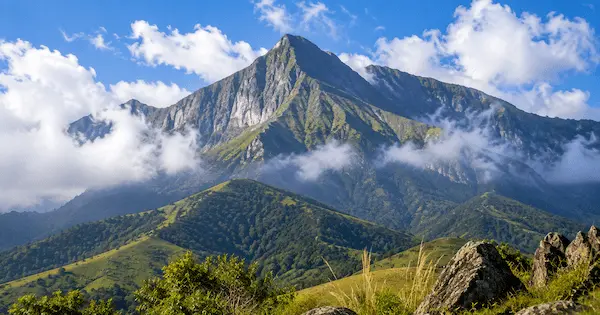 Best Places to Visit in Munnar 